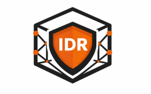 Institute of Digital Risk logo